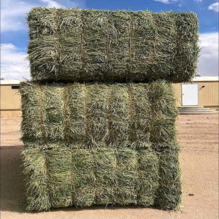Alfalfa Hay